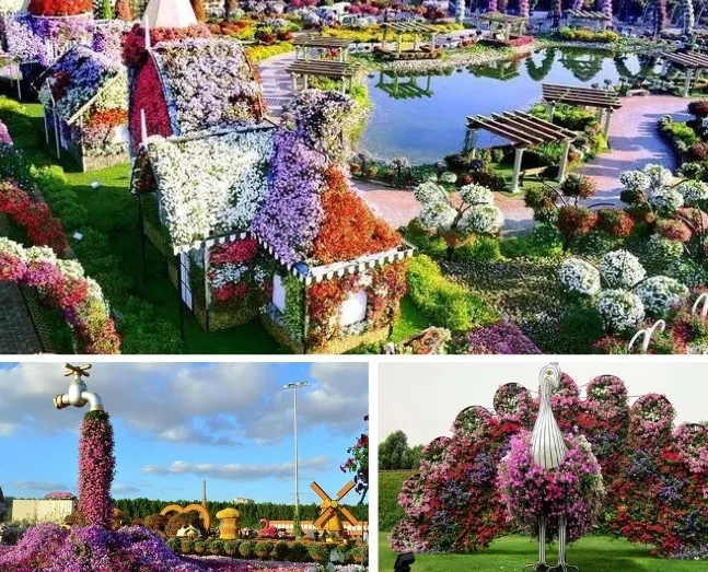 Dubai Miracle Garden & Global Village Tour